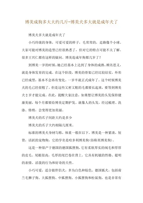 博美成狗多大大约几斤-博美犬多大就是成年犬了