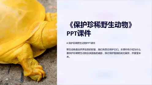 《保护珍稀野生动物》课件