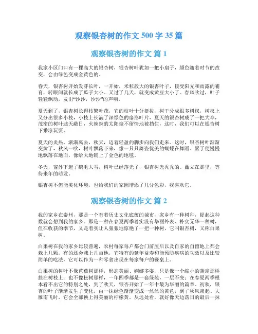 观察银杏树的作文500字35篇