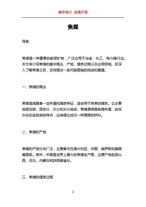 焦煤_精品文档