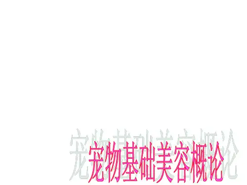 宠物基础美容概论