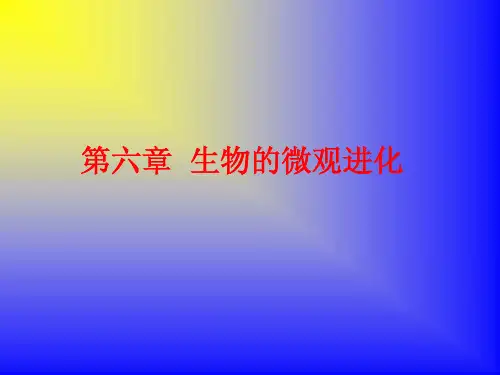 生物的微观进化-进化生物学-课件-06