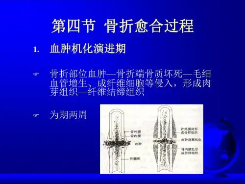 骨科总论-2