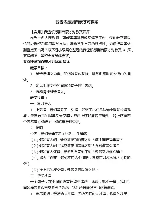 我应该感到自豪才对教案