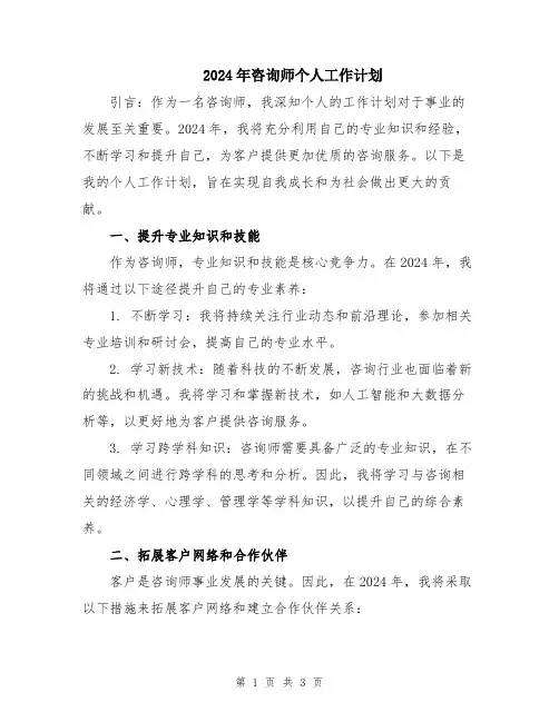 2024年咨询师个人工作计划