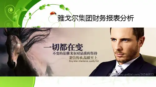 雅戈尔财务报表分析1