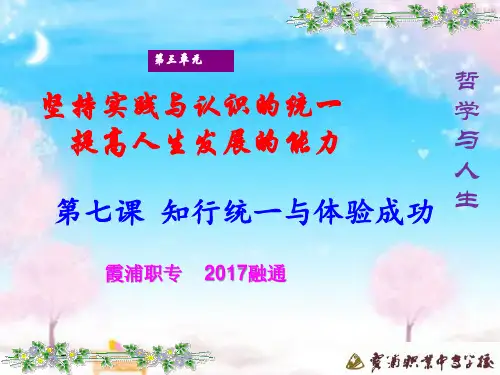 2018 第七课 知行统一与体验成功