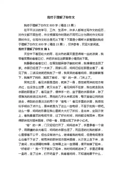 我终于理解了你作文