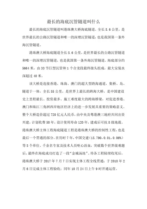 最长的海底沉管隧道叫什么