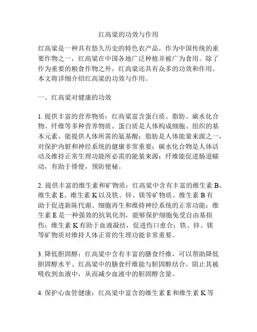 红高粱的功效与作用