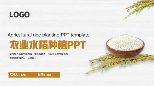 农业水稻种植PPT模板