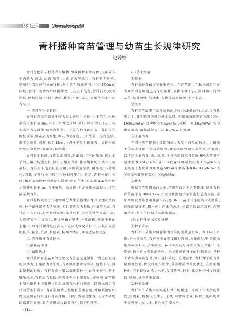 青杄播种育苗管理与幼苗生长规律研究