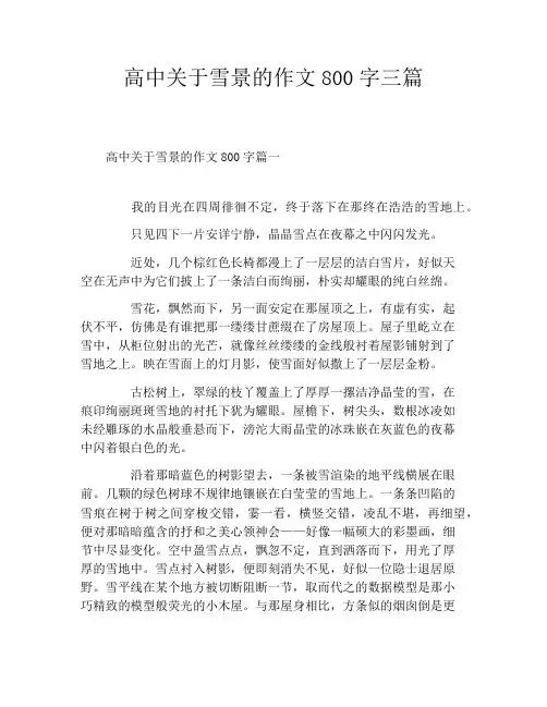 高中关于雪景的作文800字三篇