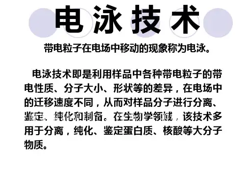 电泳法