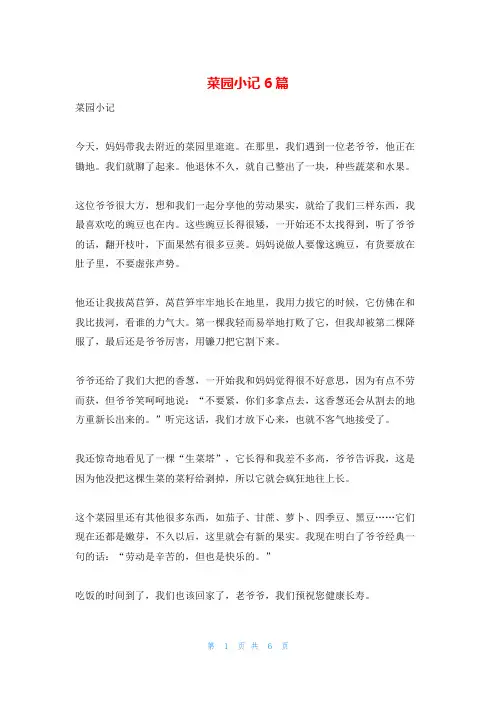 菜园小记6篇