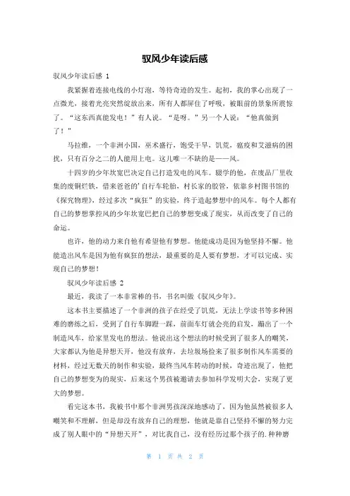 驭风少年读后感
