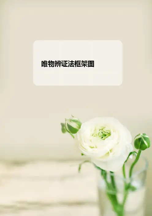唯物辨证法框架图
