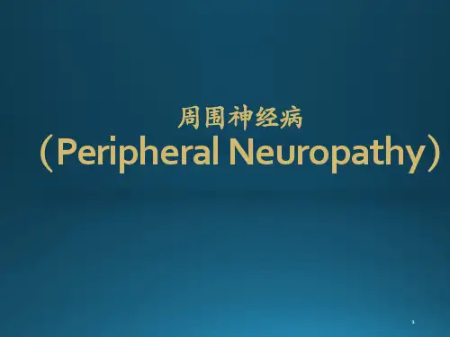 周围神经疾病ppt课件ppt课件
