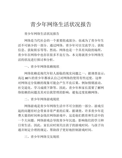 青少年网络生活状况报告