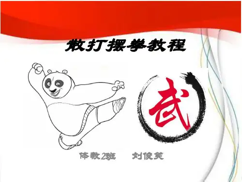 散打摆拳教程