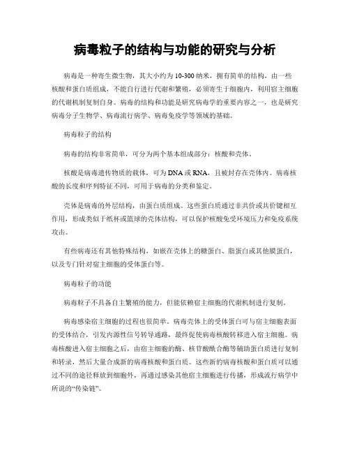 病毒粒子的结构与功能的研究与分析