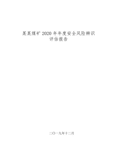 煤矿年度安全风险辨识评估报告