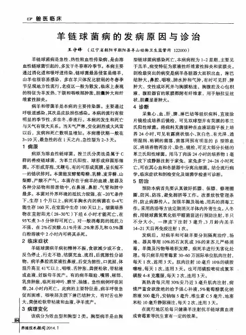羊链球菌病的发病原因与诊治