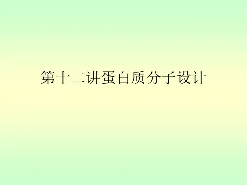 第十二讲蛋白质分子设计