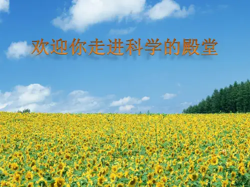 五年级下册科学课件- 4.1 昼夜交替现象｜教科版 (共15张PPT)