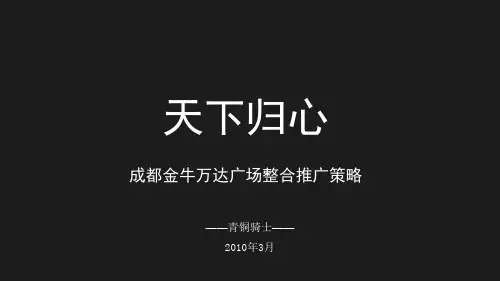 某广场整合推广策略课件(PPT 113页)