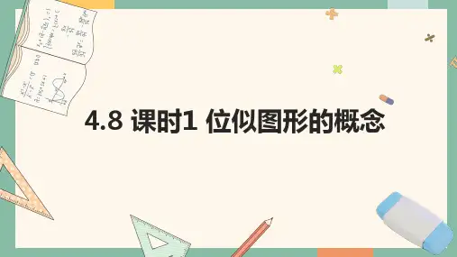 4.8 课时1 位似图形的概念 课件 (共16张PPT) 数学北师版九年级上册