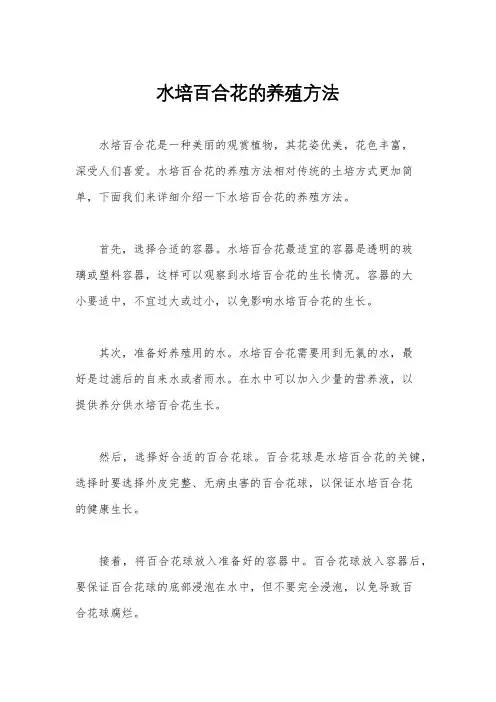 水培百合花的养殖方法