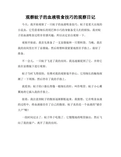 小学三年级作文观察蚊子的血液吸食技巧的观察日记