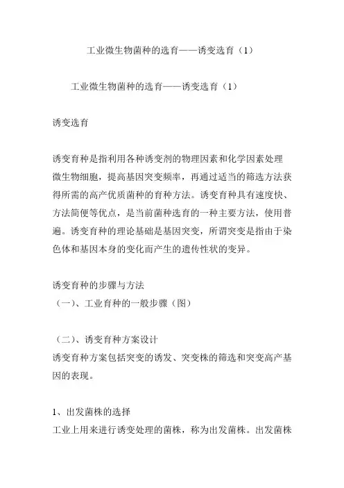 工业微生物菌种的选育——诱变选育(1)
