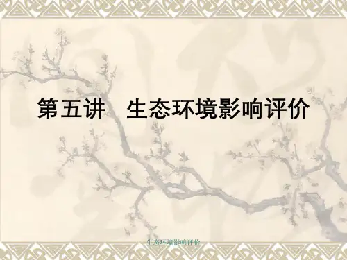 生态环境影响评价