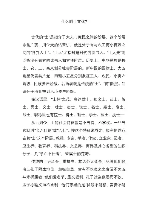 什么叫士文化