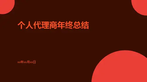 个人代理商年终总结PPT