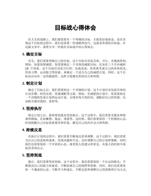 目标战心得体会