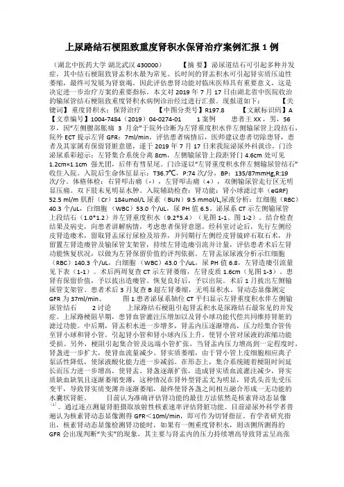 上尿路结石梗阻致重度肾积水保肾治疗案例汇报1例