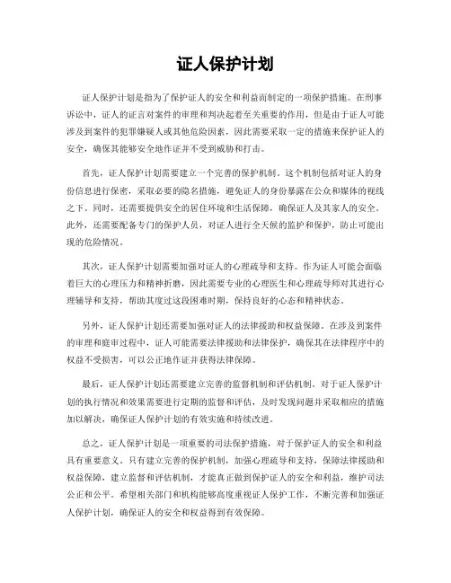 证人保护计划