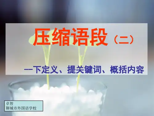 压缩语段(二)——下定义、提关键词、概括内容
