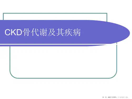 CKD骨代谢及其疾病分析