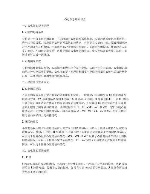 心电图总结知识点