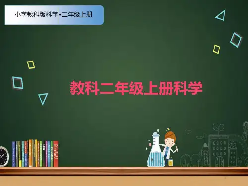 新教材-部编-教科版科学二年级上册6、不同的季节(优质ppt课件)