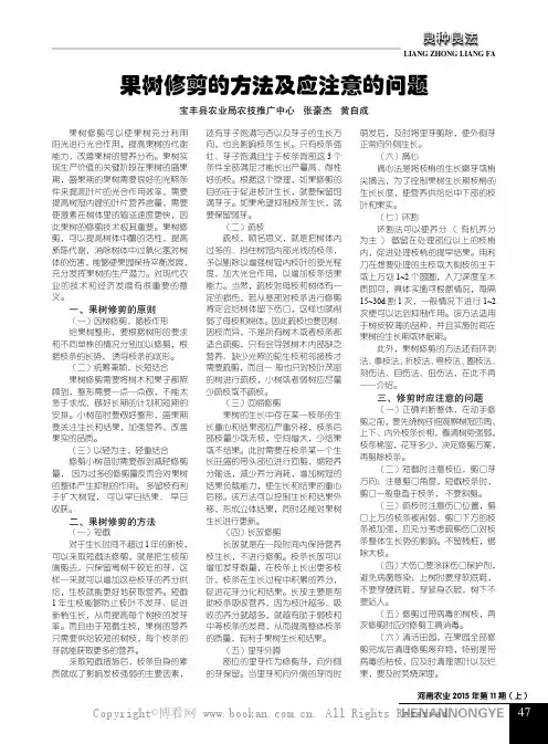 果树修剪的方法及应注意的问题