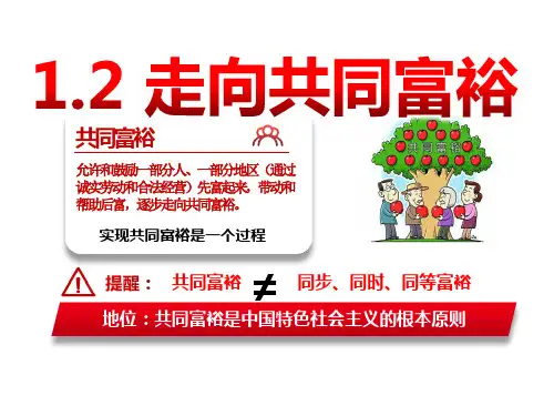 走向共同富裕+课件-2-部编版道德与法治九年级上册+