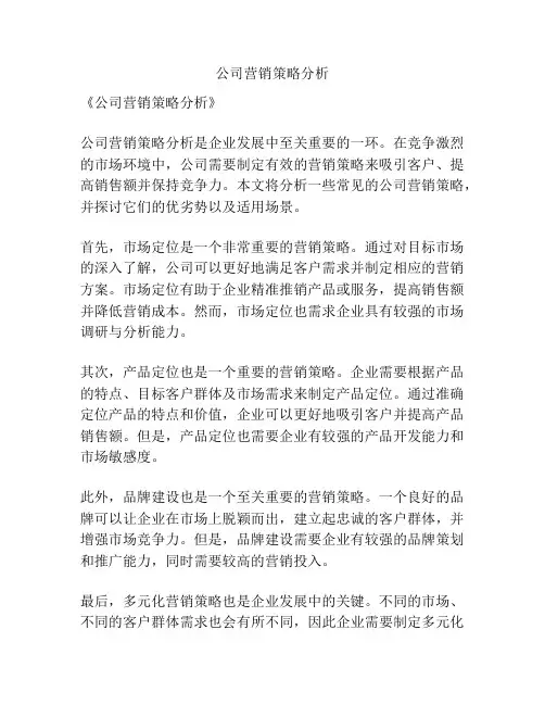 公司营销策略分析