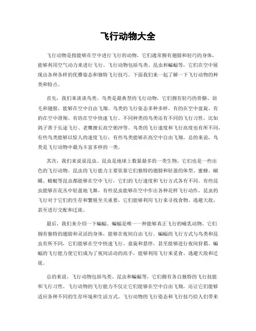 飞行动物大全