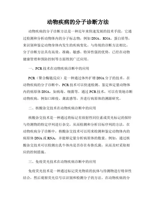 动物疾病的分子诊断方法