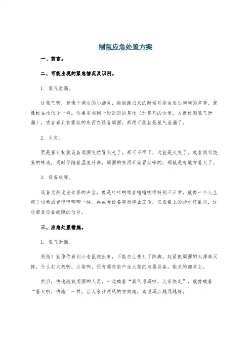 制氢应急处置方案